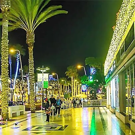 Vinas Del Mar With Sea View Tenerife Island